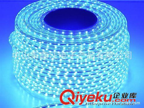 廠家直銷 led燈帶批發(fā) led燈條 led3528貼片 防水 12V原始圖片3