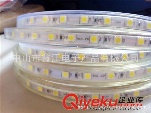 廠家直銷 led燈帶批發(fā) led燈條 led3528貼片 防水 12V