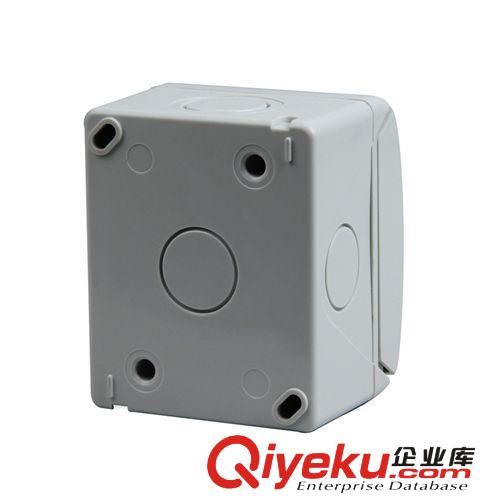 供應(yīng)SP-1GBS一位雙控墻壁開關(guān) 明裝防水開關(guān) 防蒸汽廚房開關(guān)原始圖片2