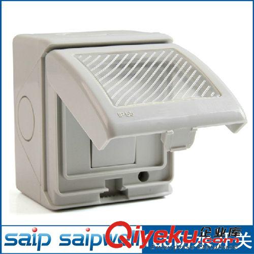 供應(yīng)SP-1GS防水開(kāi)關(guān) 墻壁開(kāi)關(guān) 單控開(kāi)關(guān) 單聯(lián)開(kāi)關(guān) 家用saipwell原始圖片2
