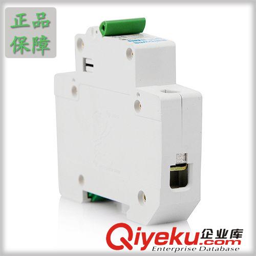 供應(yīng)SPM1-1-63C63A 脫扣器 小型斷路器  1P16A漏電斷路器原始圖片3