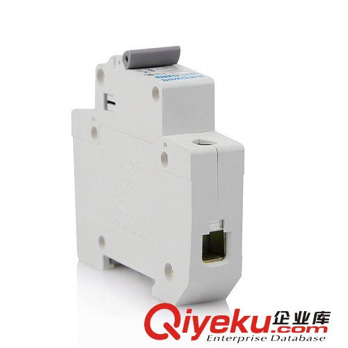 賽普直銷SPM1 16A1P 小型交流斷路器 脫扣器 家用斷路器開關(guān)原始圖片3