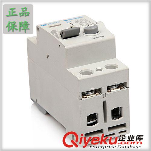 2P 50A斷路器 工業用脫扣斷路器 過載保護斷路器 漏電保護功能