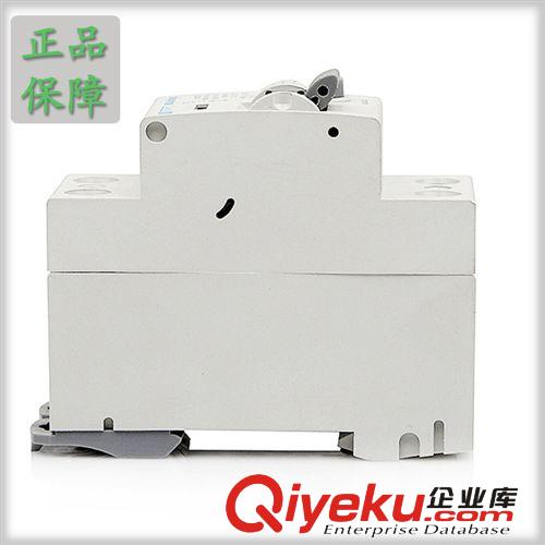 2P 50A斷路器 工業用脫扣斷路器 過載保護斷路器 漏電保護功能