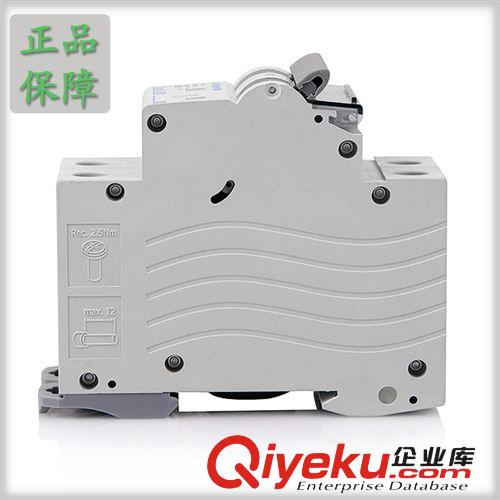 直銷 2P32A小型斷路器 出口型斷路器 交流斷路器 樂清斷路器原始圖片2