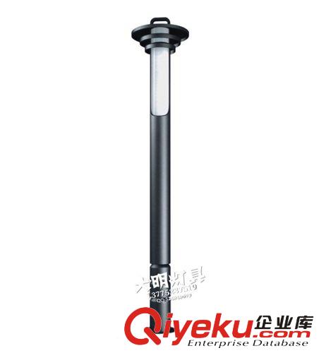 廠家現貨銷售火焰景觀燈 戶外建筑景觀燈 室外景觀燈原始圖片2