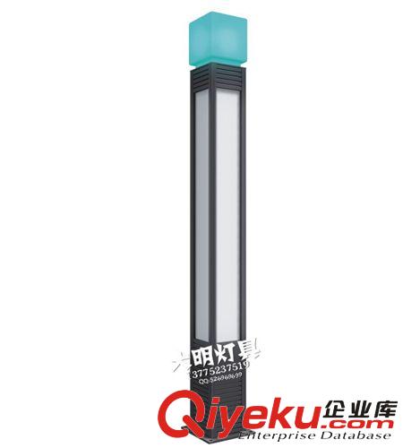 廠家生產(chǎn)供應(yīng)常州景觀燈 特色景觀燈 不銹鋼景觀燈原始圖片2