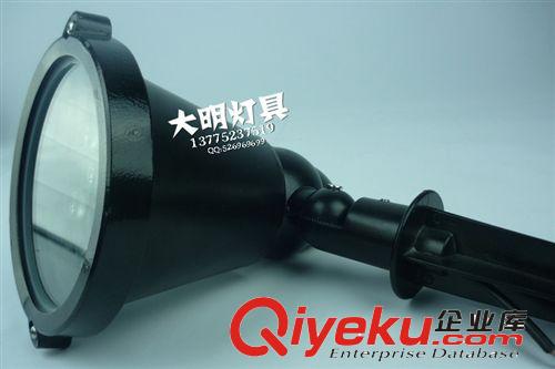 廠家銷售 插地燈 led插地燈 射樹燈 投射燈原始圖片2