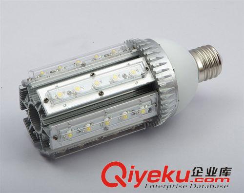 大功率玉米灯 庭院灯 玉米灯铝型材 led 庭院玉米灯