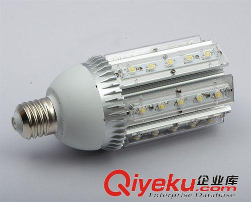 大功率玉米灯 庭院灯 玉米灯铝型材 led 庭院玉米灯