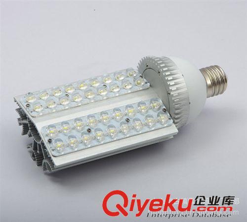 LED燈具 LED路燈燈具 大功率LED路燈外殼 E40\28W燈具外殼原始圖片2