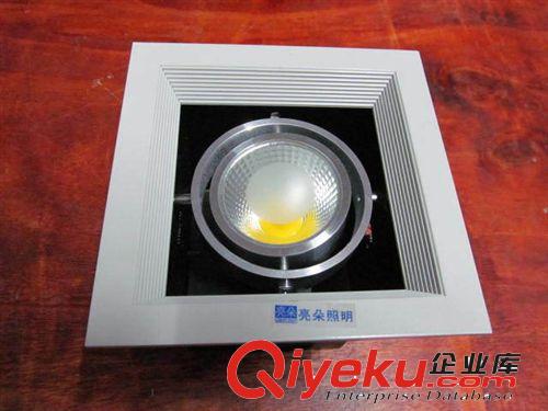 亮朵廠家生產防眩光COB格柵燈 單雙頭豆膽LED燈3W 5W聚光斗膽射燈原始圖片3