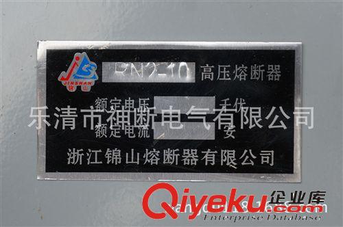 【廠銷】RN2-10KV（配RN2-10/0.5A熔管）高壓熔斷器原始圖片3