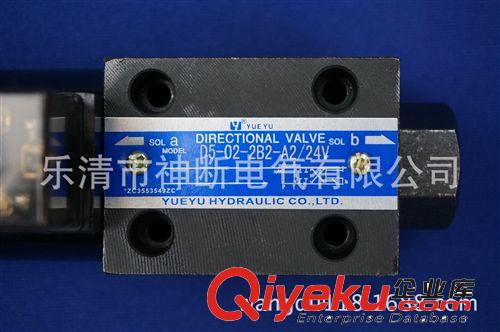 【廠家直銷】D5-02-2B2-A2/24V上海天瑜電磁換向閥原始圖片3