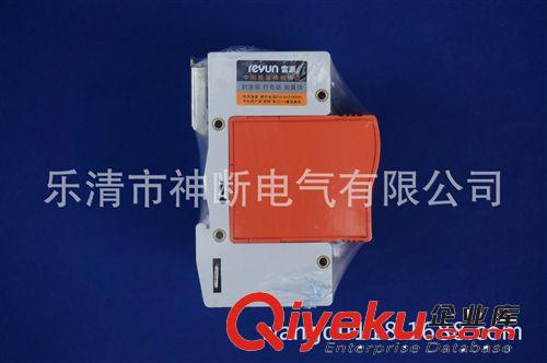代理銷售LYD1-B100/4雷源浪涌保護器避雷器原始圖片3