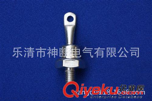 【批發(fā)】ZP(2CZ)-10A上海上整整流器原始圖片2