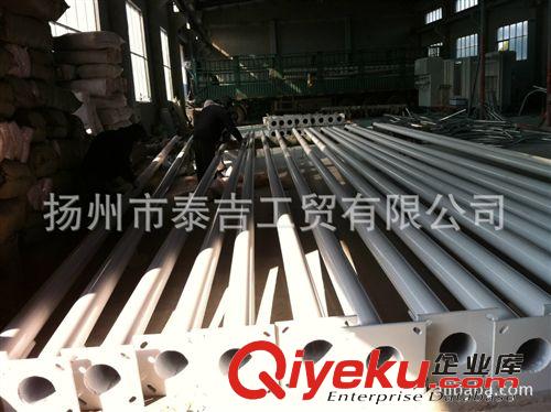 廠家直銷LED路燈 戶外照明路燈 8米LED路燈原始圖片2
