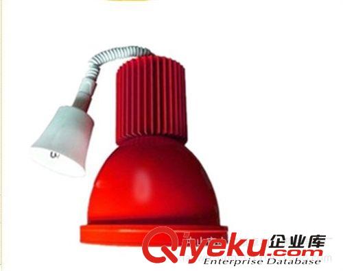 超亮推廣 LED集成10W 20W 30W 50W超市LED生鮮燈 工礦燈系列燈