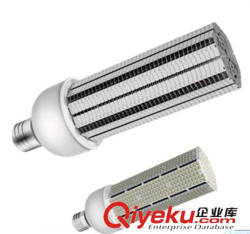 E40 60W LED玉米灯，360度发光，路灯、庭院灯专用，节能改造{sx}