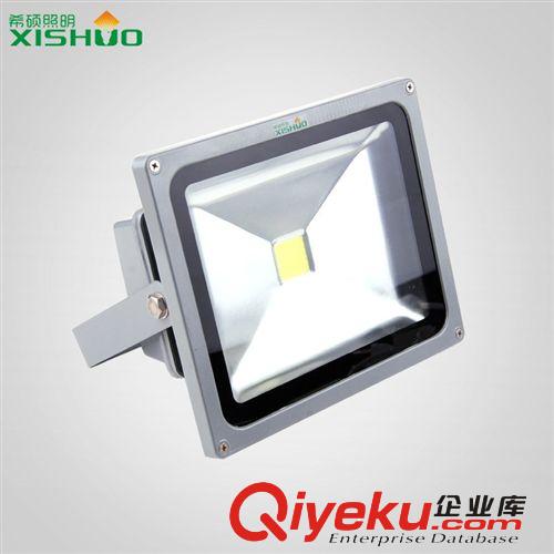 廠家直供 LED投光燈 10W20W30W50W70W100W LED泛光燈戶外照明燈