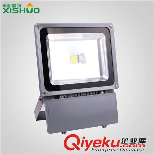 廠家直供 LED投光燈 10W20W30W50W70W100W LED泛光燈戶外照明燈原始圖片2