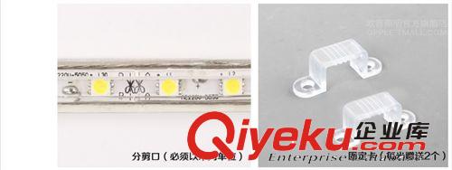 Led燈帶5050防水12V高亮貼片30珠超高亮霓虹柜臺(tái)燈條吊頂燈飾原始圖片3