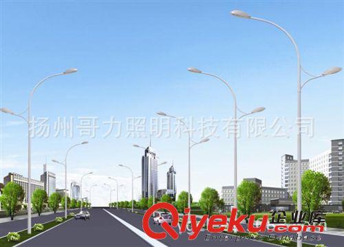 廠家直銷 LED路燈  路燈桿 景觀燈