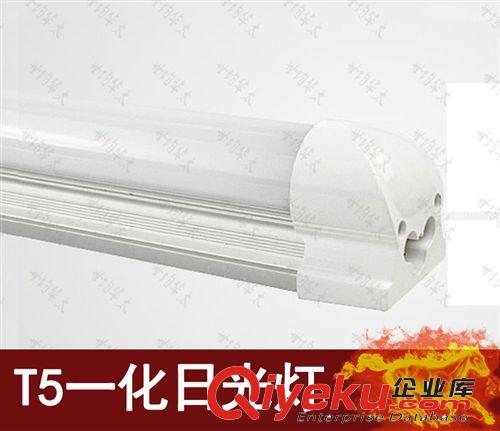 【企業(yè)采集】世均華太 T51.2米2538 LED日光燈管照明燈管質(zhì)保兩年