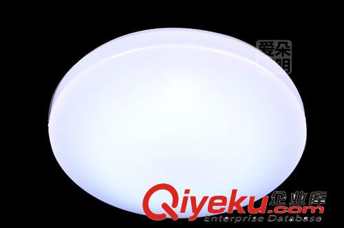 LED吸頂燈 簡約亞克力廚衛(wèi)燈 陽臺過道玄關(guān) 廠家批發(fā)原始圖片3