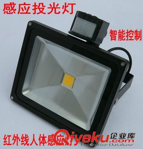 LED便攜式充電投光燈10W20W野營移動(dòng)應(yīng)急照明燈車載燈節(jié)能燈