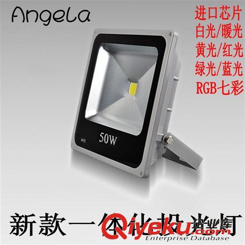 LED投光灯10W防水户外灯室外灯泛光灯广告灯投射灯10W20W30W50W