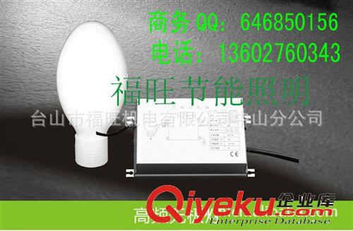 無(wú)極燈 高頻無(wú)極燈 電磁感應(yīng)無(wú)極熒光燈原始圖片2