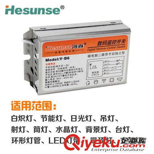 廠家直銷 無線 遙控開關(guān) 220V 二路 燈具可穿墻 分段器 可定做12V