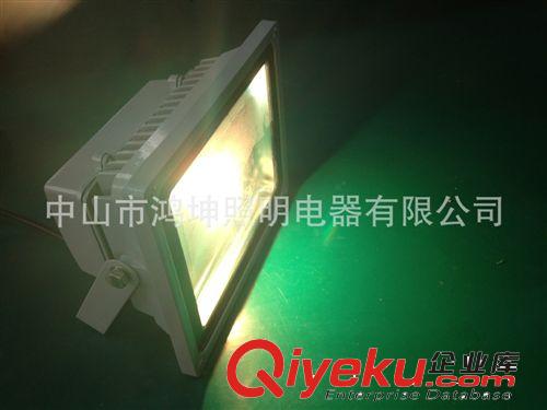 led投光燈 10W至150W 投射燈 景觀燈飾 廠家直銷 品質保證