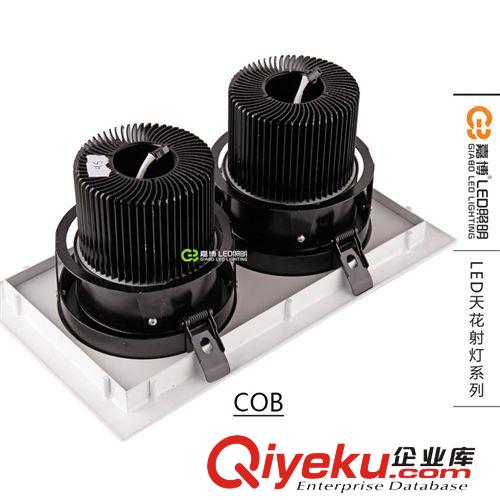 廠家直銷 20W30W40W60W進(jìn)口COB雙頭斗膽燈 cob天花燈 豆膽燈