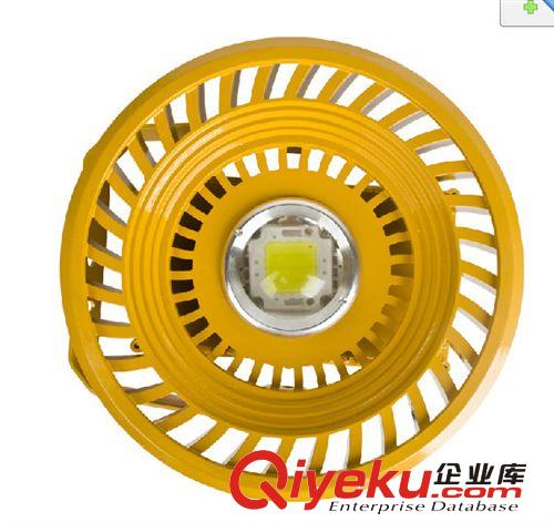 20W 30w 50w70w 80w100W LED 防爆燈/投光/泛光/工礦/廠房/射燈