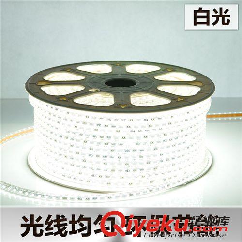 廠家直銷 LED燈帶 5050高壓貼片60珠高亮水led燈帶 多色燈條批發