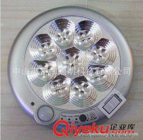 廠家供應(yīng)LED感應(yīng)燈/8W貼片LED人體感應(yīng)燈/應(yīng)急感應(yīng)燈原始圖片2
