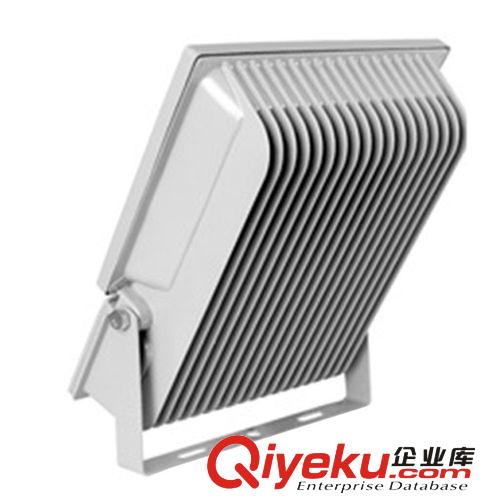 投光燈led 集成戶外投射燈 高壓招牌低壓泛光燈 戶外品牌燈廣告燈原始圖片3
