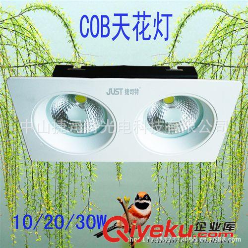 捷司特新款LED天花燈COB雙頭格柵筒燈10/15/18W節(jié)能射燈廠家直銷