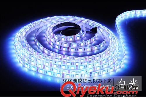 MY-LED5050貼片滴膠燈帶30/60珠12V