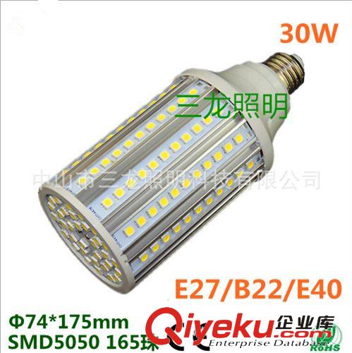 165珠5050LED玉米燈 165顆5050貼片玉米燈 庭院燈泡 鋁外殼原始圖片3