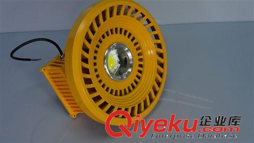 廠家直銷 LED防爆燈 功率40W 出口認(rèn)證 集成 防護(hù)等級(jí)高