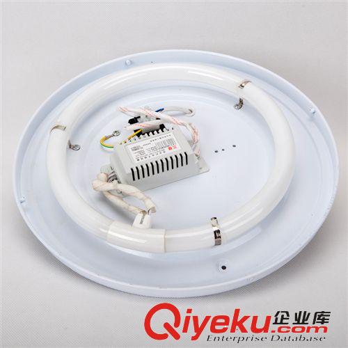 麥登燈飾tj{ms} 新款時尚花紋亞克力吸頂燈簡約臥室燈飾燈具原始圖片3