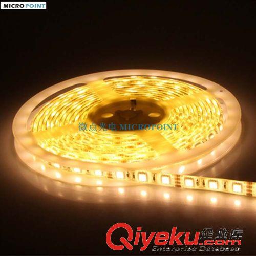 三年質保12V/24V SMD 5050/5630 防水led柔性燈帶