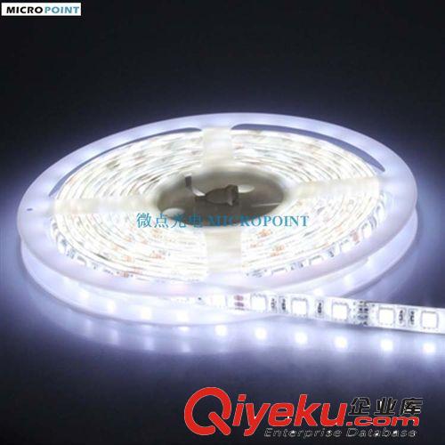 三年質保12V/24V SMD 5050/5630 防水led柔性燈帶