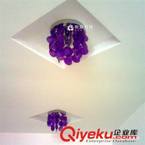 奧源燈飾過(guò)道燈走廊燈 門(mén)廳玄關(guān)燈 陽(yáng)臺(tái)燈 P20-200原始圖片3