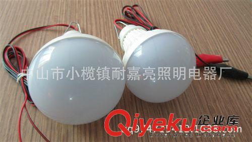 地灘水果攤12V球泡 led5W12V球泡廠家批發便宜的 led5W塑料球泡