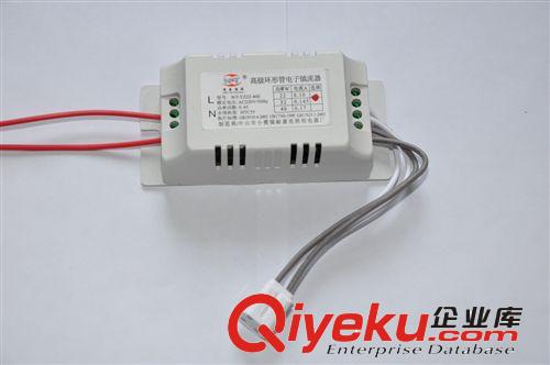 耐嘉亮照明廠價批發(fā)環(huán)形電子鎮(zhèn)流器 橢圓殼 22W 32W 40W質(zhì)保一年