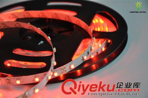led彩色燈帶 【gd大氣上檔次】5050 60珠/米 12V 新款led燈條